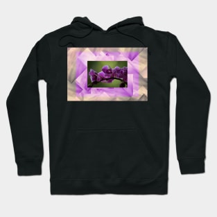 Nature’s Design: Splendor 1 Hoodie